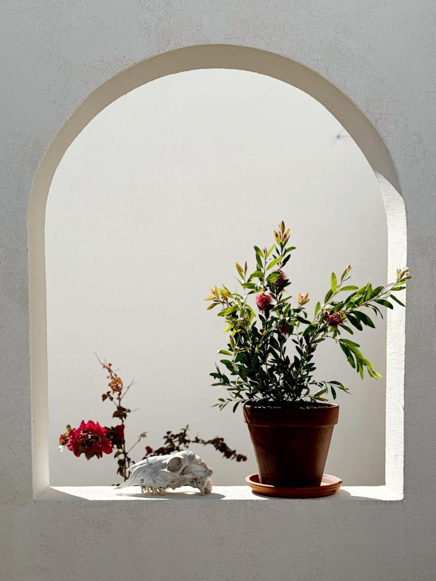 Sol Melba Boutique Studios - Maslinica Extérieur photo